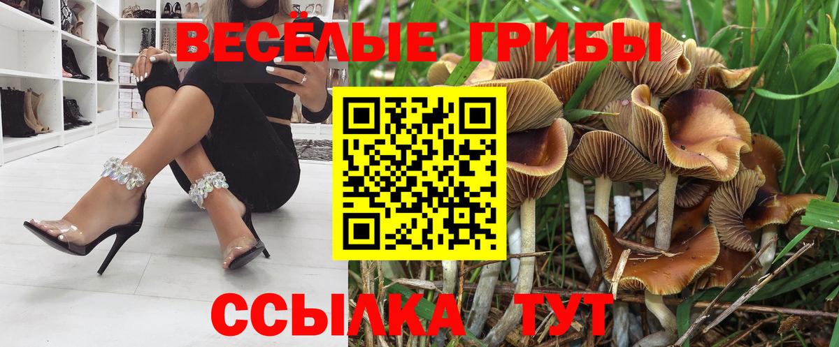 Галлюциногенные грибы ЛСД  Вход с VPN  Майкоп 